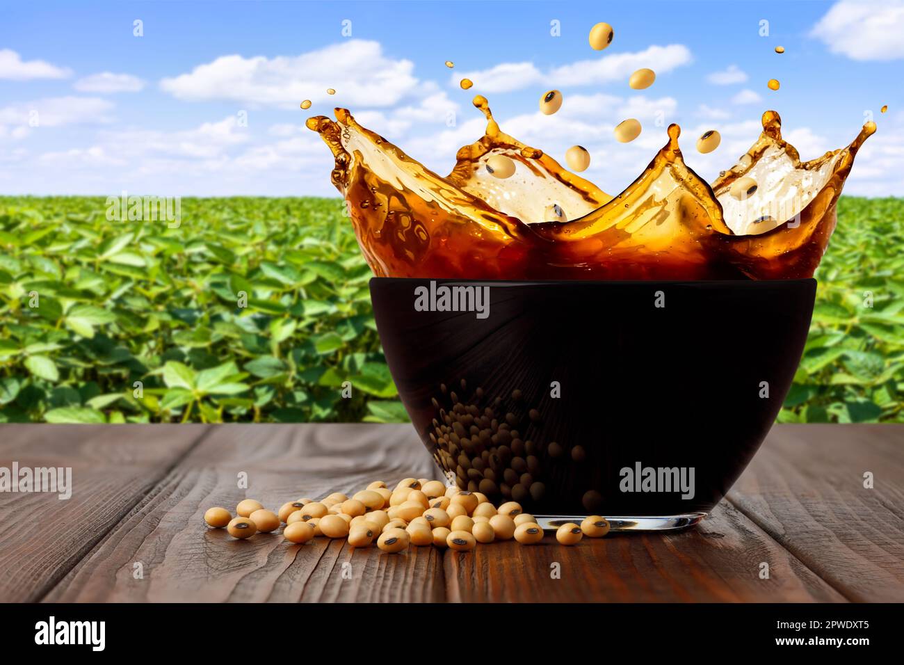 splashing soy sauce in glass bowl on table with green soybean field as background Stock Photo