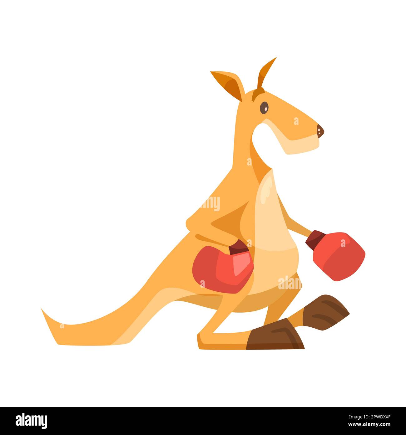 Cute kangaroo in boxing gloves vector illustration Stock Vector Image
