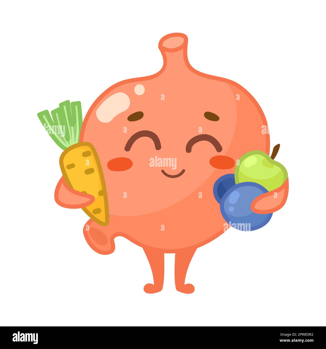 Stomach cartoon hi-res stock photography and images - Alamy