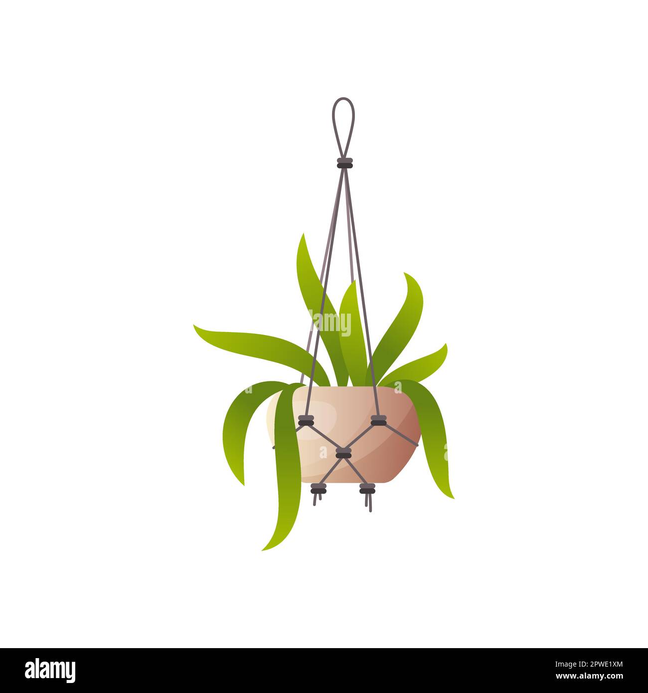 Hanging plant in pot vector illustration Stock Vector Image & Art - Alamy