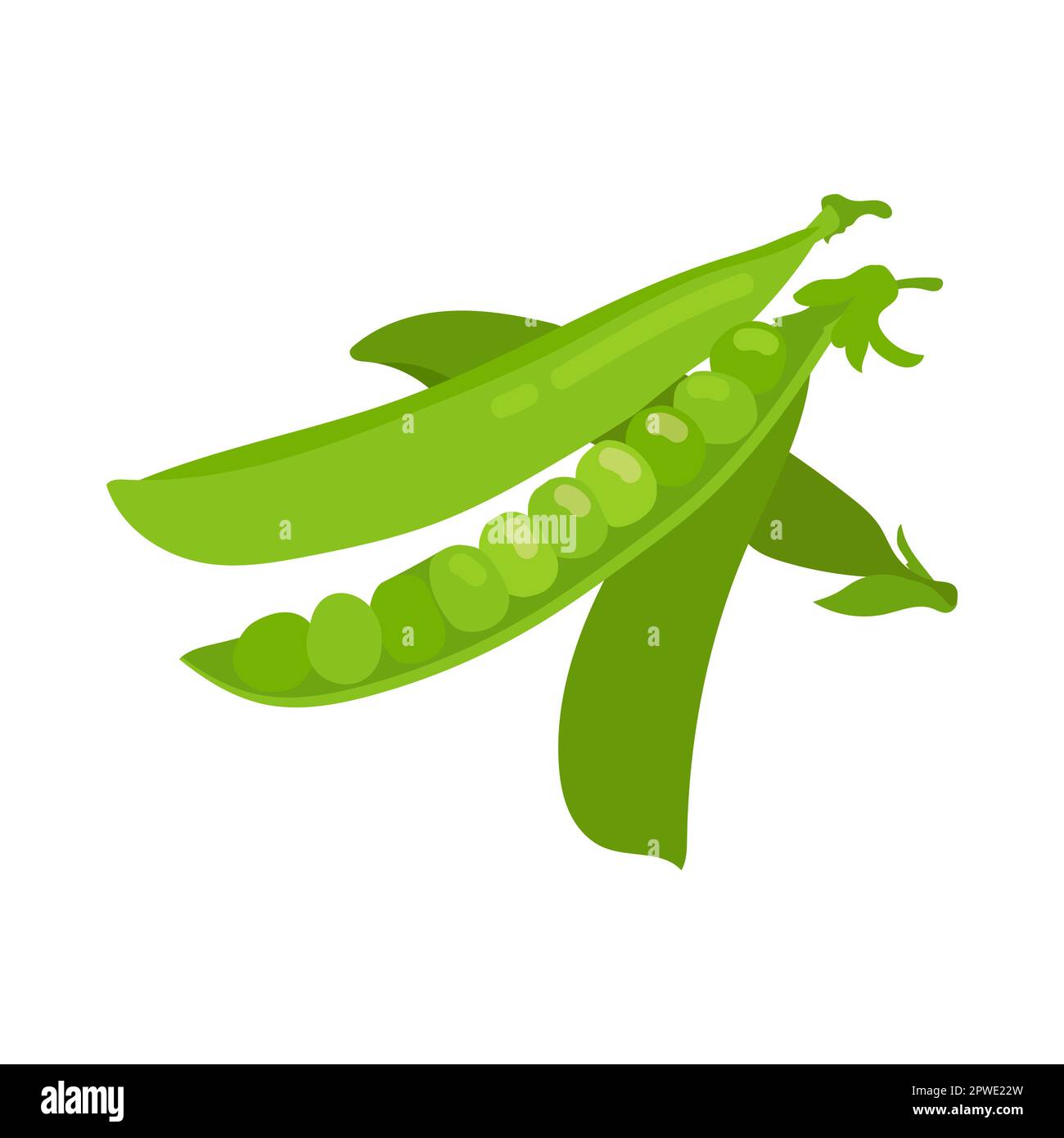 Vitamin Aenriched green peas cartoon illustration Stock Vector Image