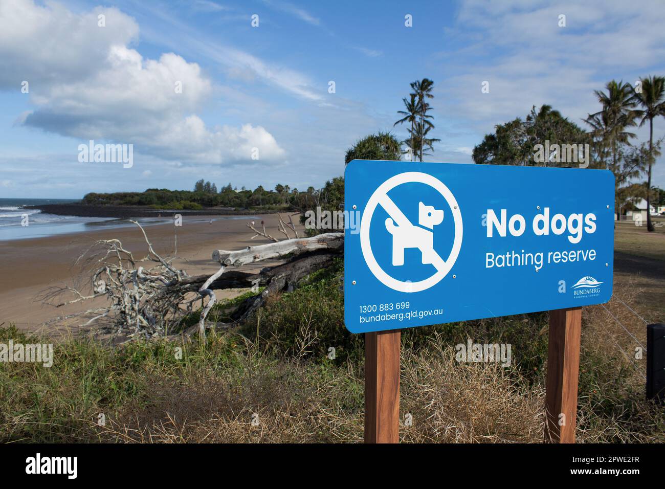 Bundaberg, Queensland, Australia. October 12th 2022. No dogs allowed sign at a bathing reserve at Bargara. Stock Photo