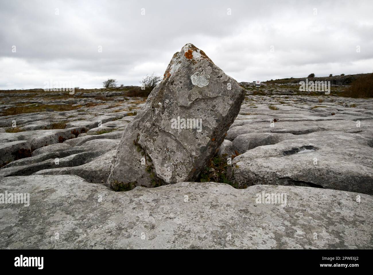 large limestone rock standing stone wedged in the limestone pavement