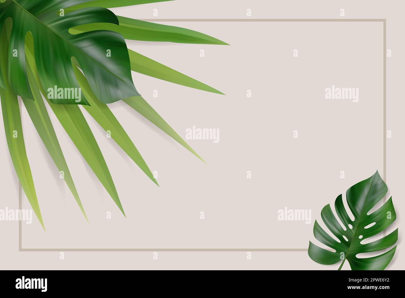 Vector tropical leaves and flower composition isolated on white ...