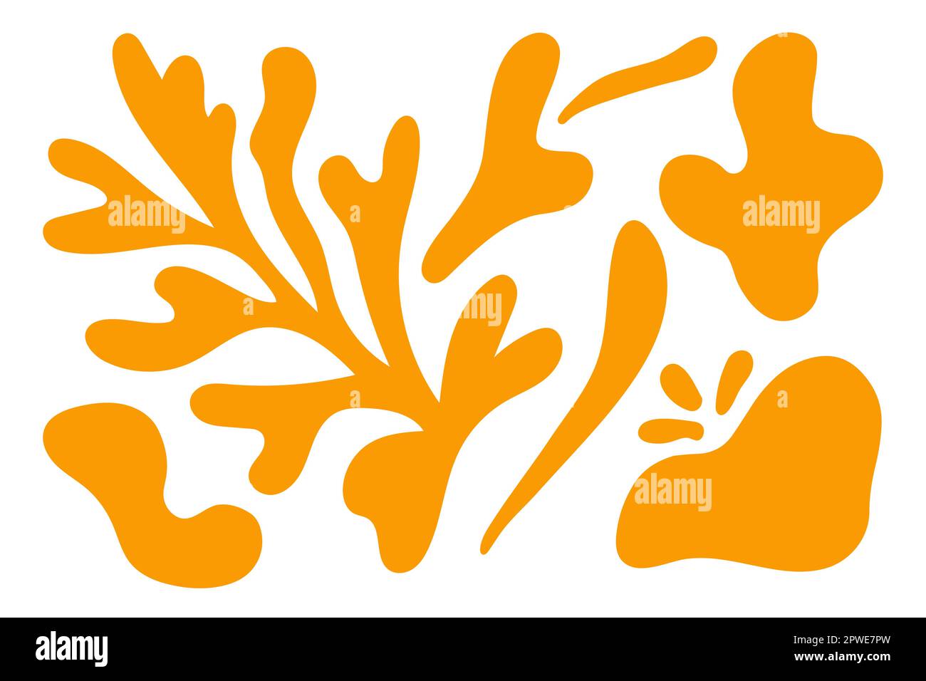 Matisse abstract floral algae shapes in trendy contemporary organic style. composition Doodle painted aestethic flower and leaf. Botanic vector Stock Vector