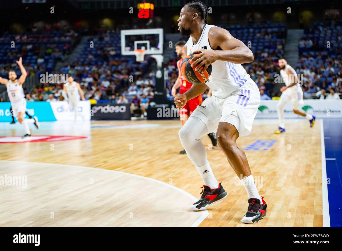 Spanish basket league online