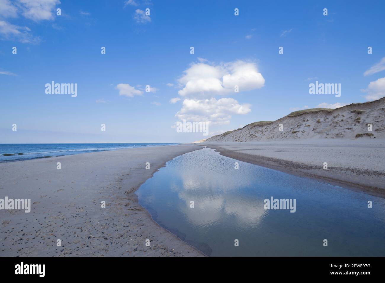 Am Meeresstrand, Dänemark, Nordsee, At the sea beach, Denmark, North