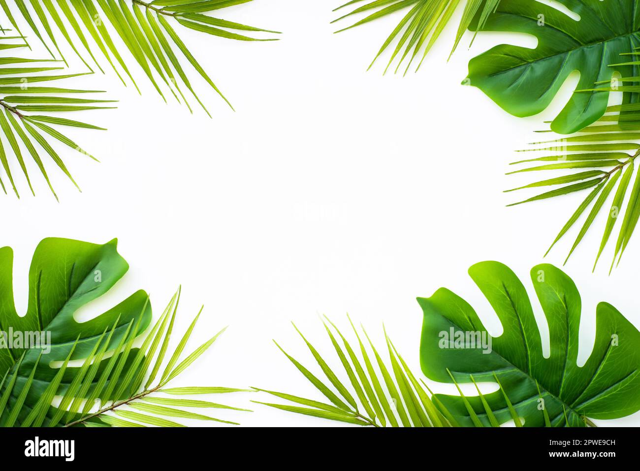 Summer flat lay background tropical leaves on white Stock Photo - Alamy