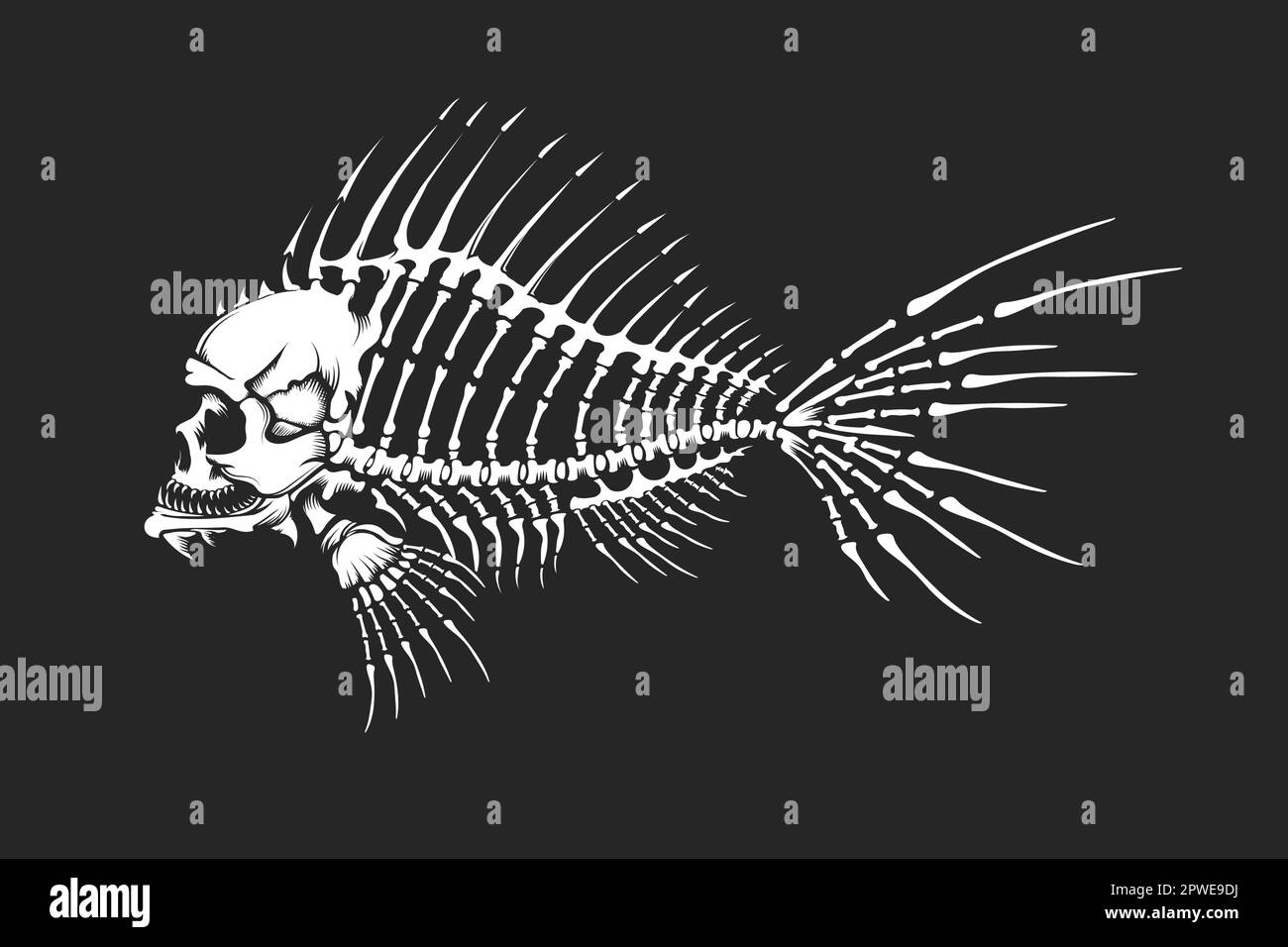 Human Skull Dead Fish Skeleton made of bones isolated on black. Vector illustration Stock Vector