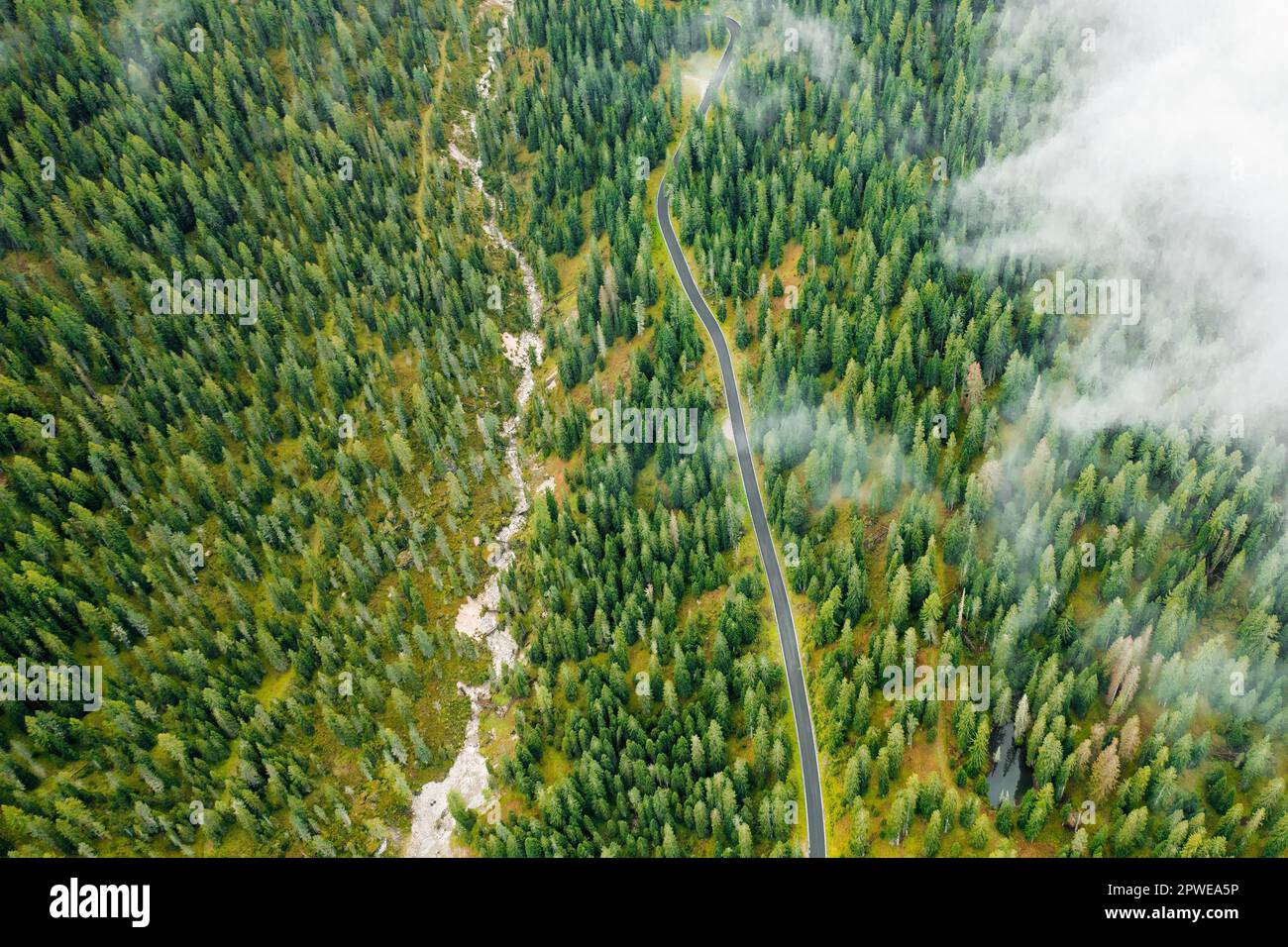 Aerial view of a road in the middle of the forest covered with cloud ...