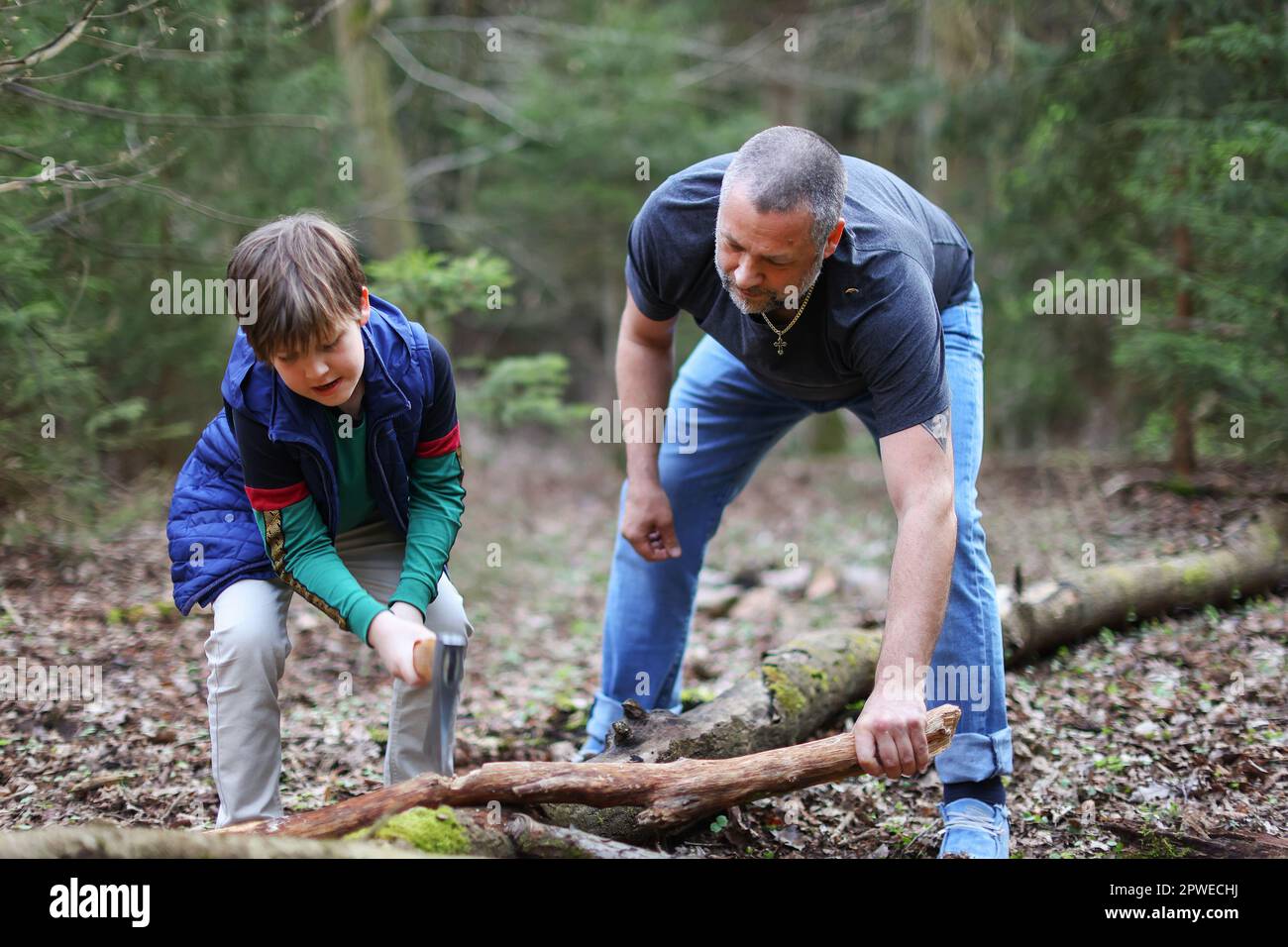 dad learn son how to chopping firewood in the forest. Dad and son work ...