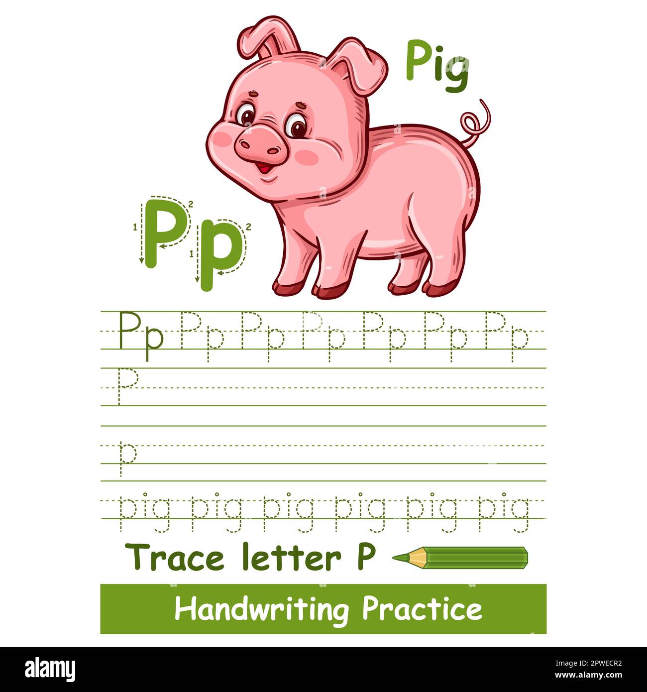 Alphabet trace letter P handwriting vocabulary practice worksheet, cute little pig. Writing education task, learn ABC. Piglet swine farm animal vector Stock Vector