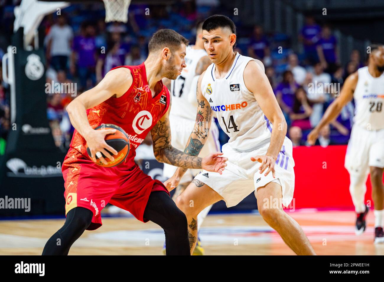 Madrid, Spain. 30th Apr, 2023. Gabriel Deck (Real Madrid) in action during  the basketball match between Real Madrid and Zaragoza Basket valid for the  matchday 30 of the spanish basketball league ACB