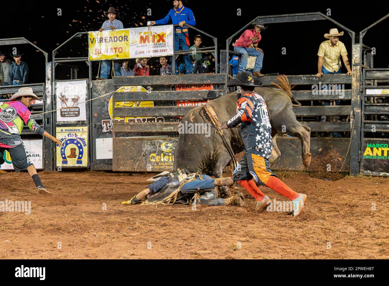 Itaja, Goias, Brazil - 04 21 2023: Rider of bull lying on the ground ...