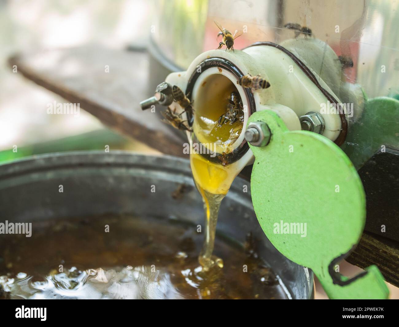 Honey Production And Bees Keeping - Beekeeping Concept Stock Photo - Alamy