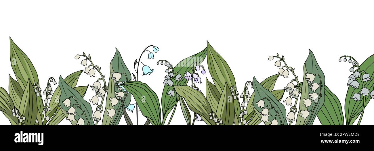 Lily of the Valley May birth month flower border Stock Vector Image