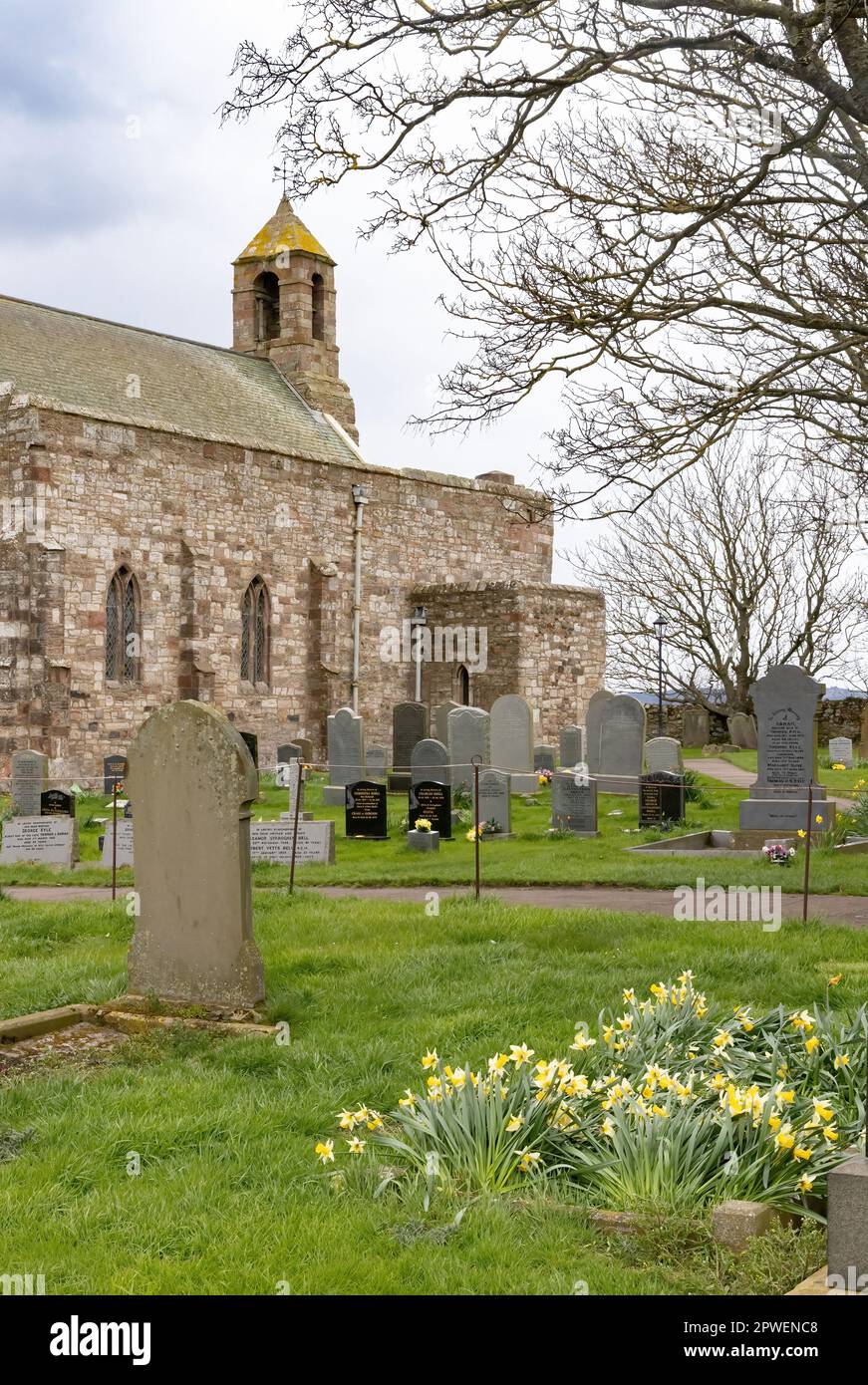 St Marys Church, or St Mary the Virgin Church, exterior of12th century stone church in spring on Lindisfarne or Holy Island, Northumberland UK Stock Photo