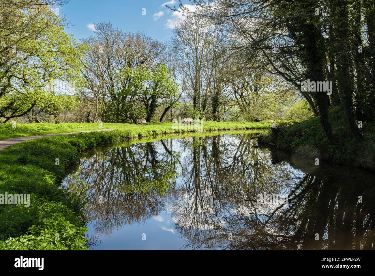 Tree reflections in tranquil waters of Monmouthshire and Brecon Canal in Brecon Beacons National Park. Pencelli, Brecon, Powys, Wales, UK, Britain Stock Photo