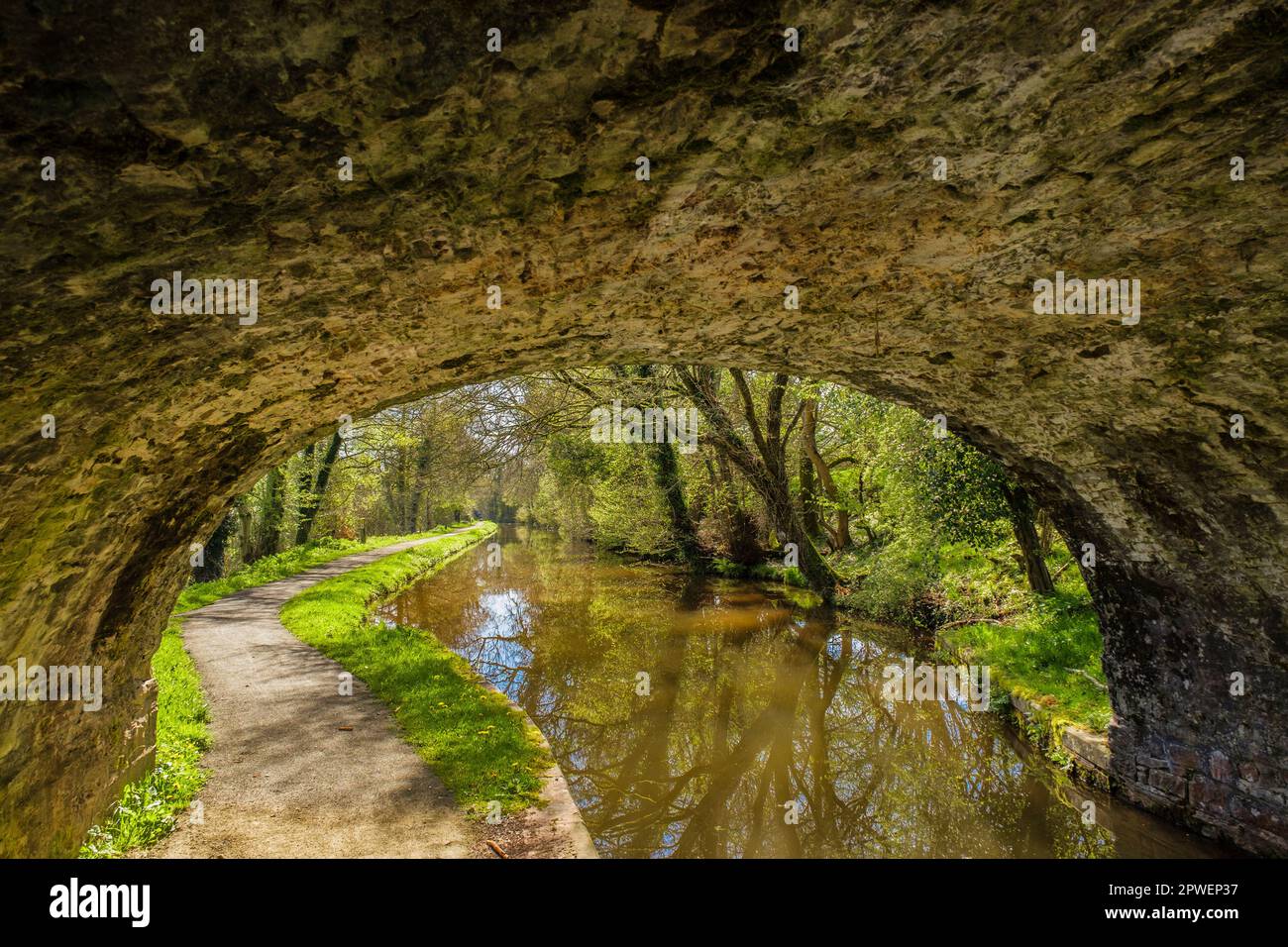 View east from tow path through bridge 151 on Monmouthshire and Brecon Canal. Pencelli, Brecon, Powys, Wales, UK, Britain Stock Photo