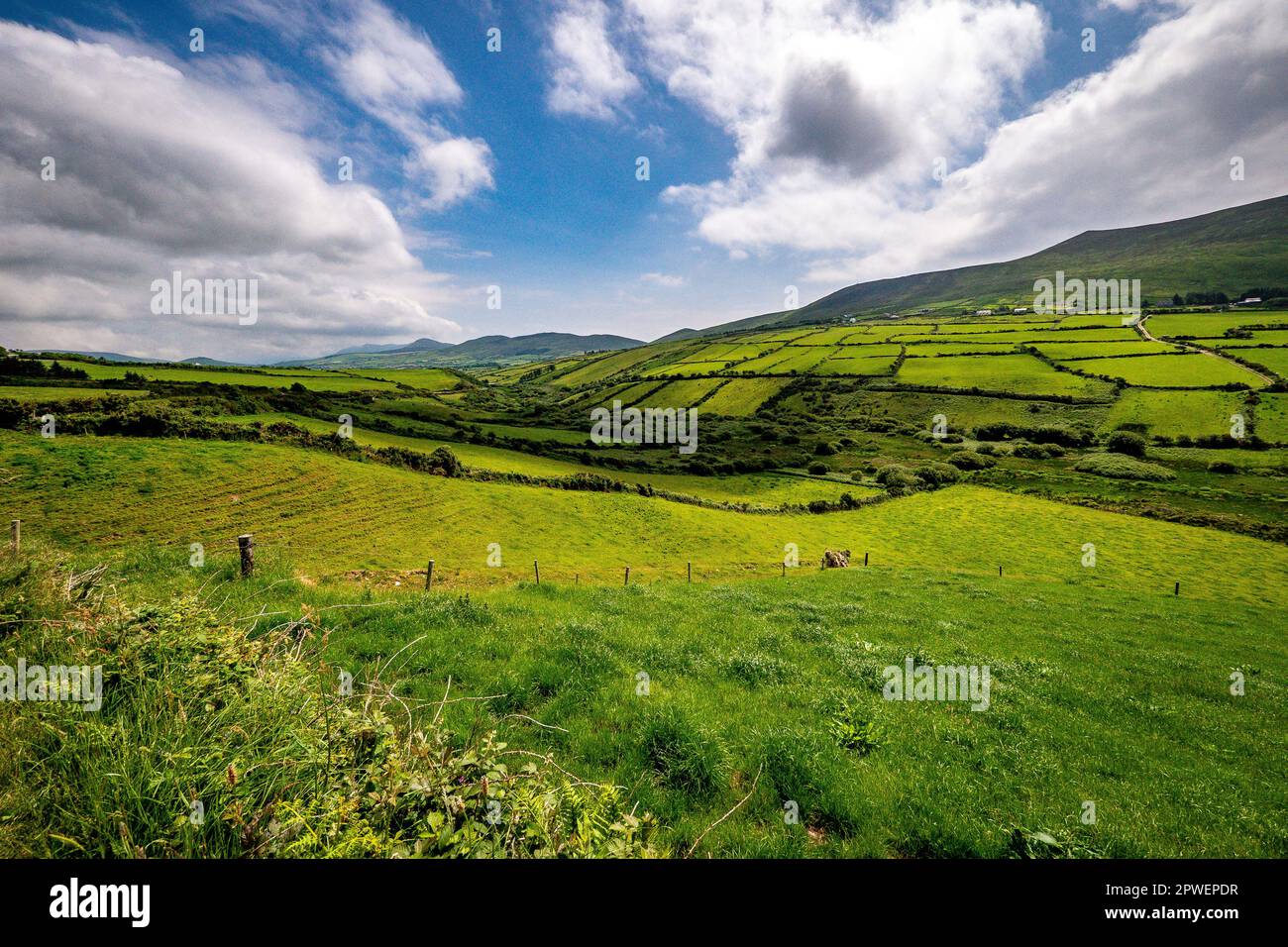 Irish Landscape of Rolling Green Hills Stock Photo