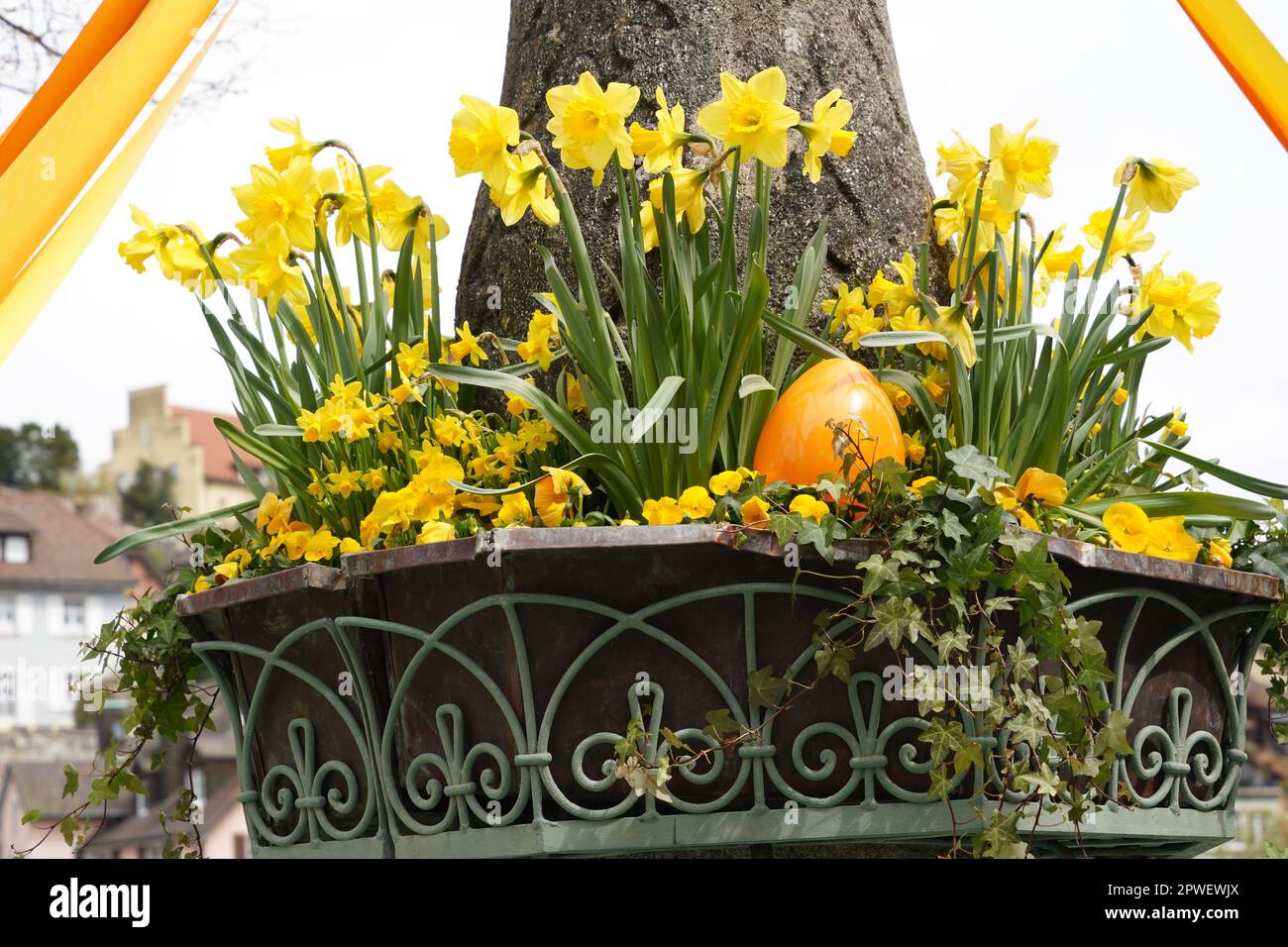 Outdoor Easter decoration in a fountain consisting of narcissus flowers and yellow pansies and a big orange easter egg. There are colorful ribbons. Stock Photo