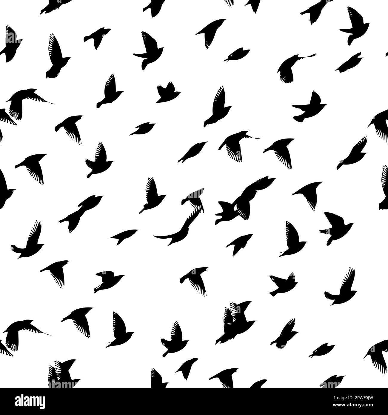 A flock of flying birds. Seamless background. Vector illustration Stock ...