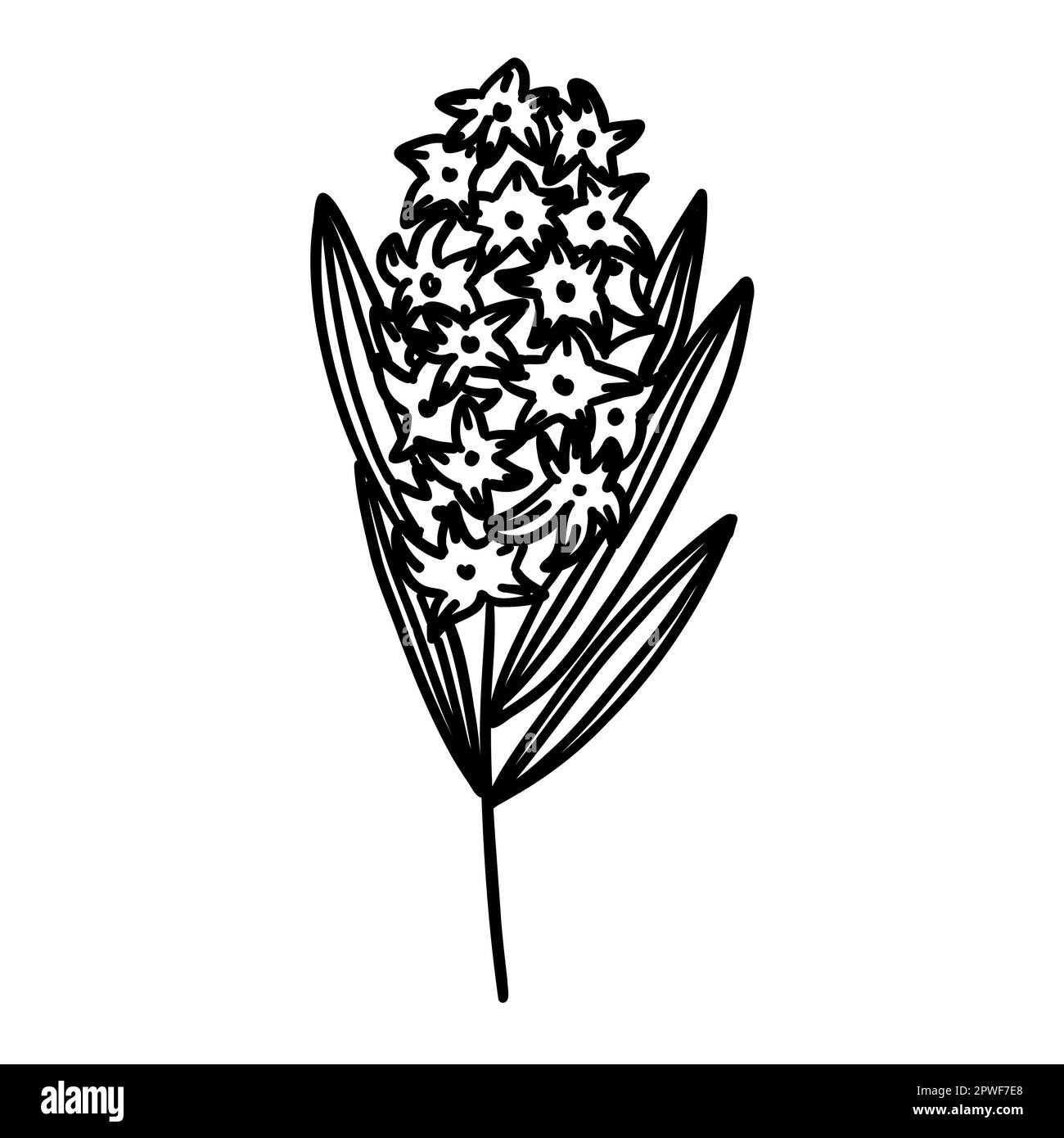 Plant ill Cut Out Stock Images Pictures Alamy