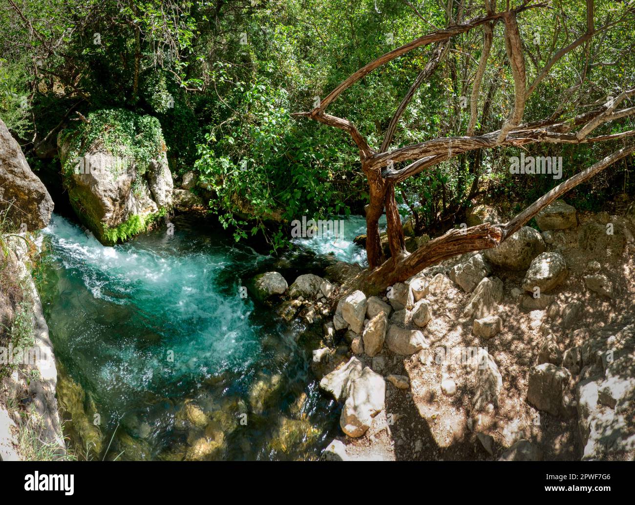 Bank of the Majaceite river, in the Sierra de Cadiz, on its route between the villages of Benaocaz and El Bosque. Andalusia, Spain Stock Photo
