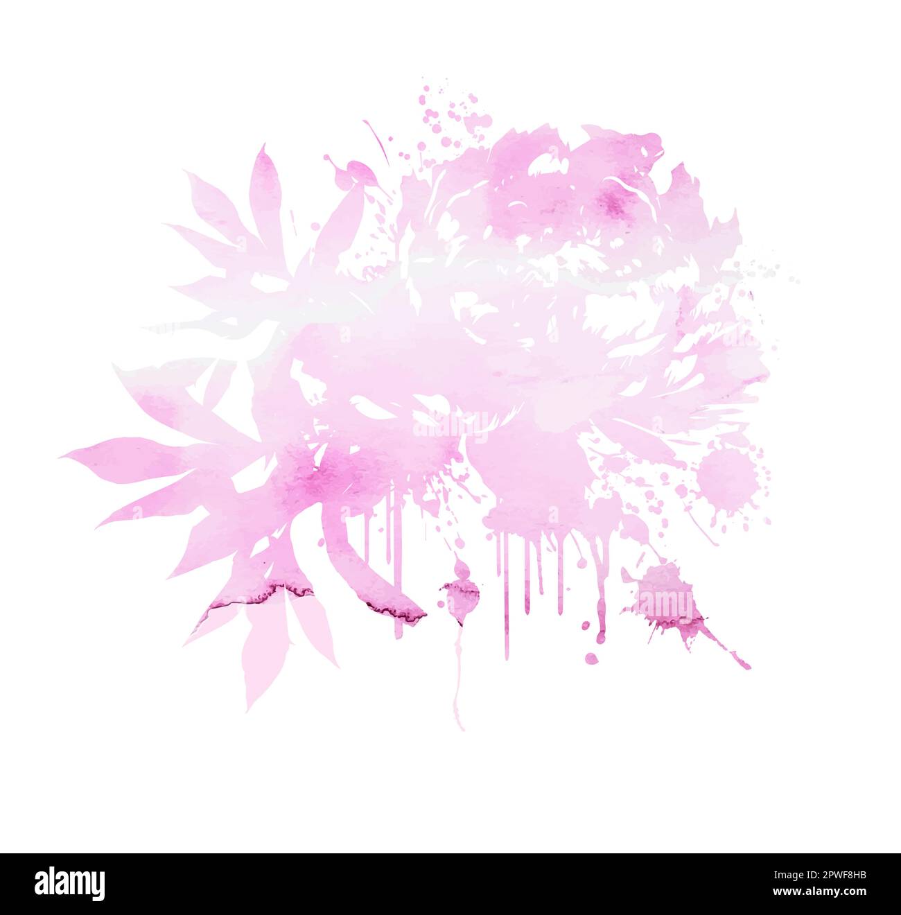 Vector stock flower illustration, Pink peony on a white background ...