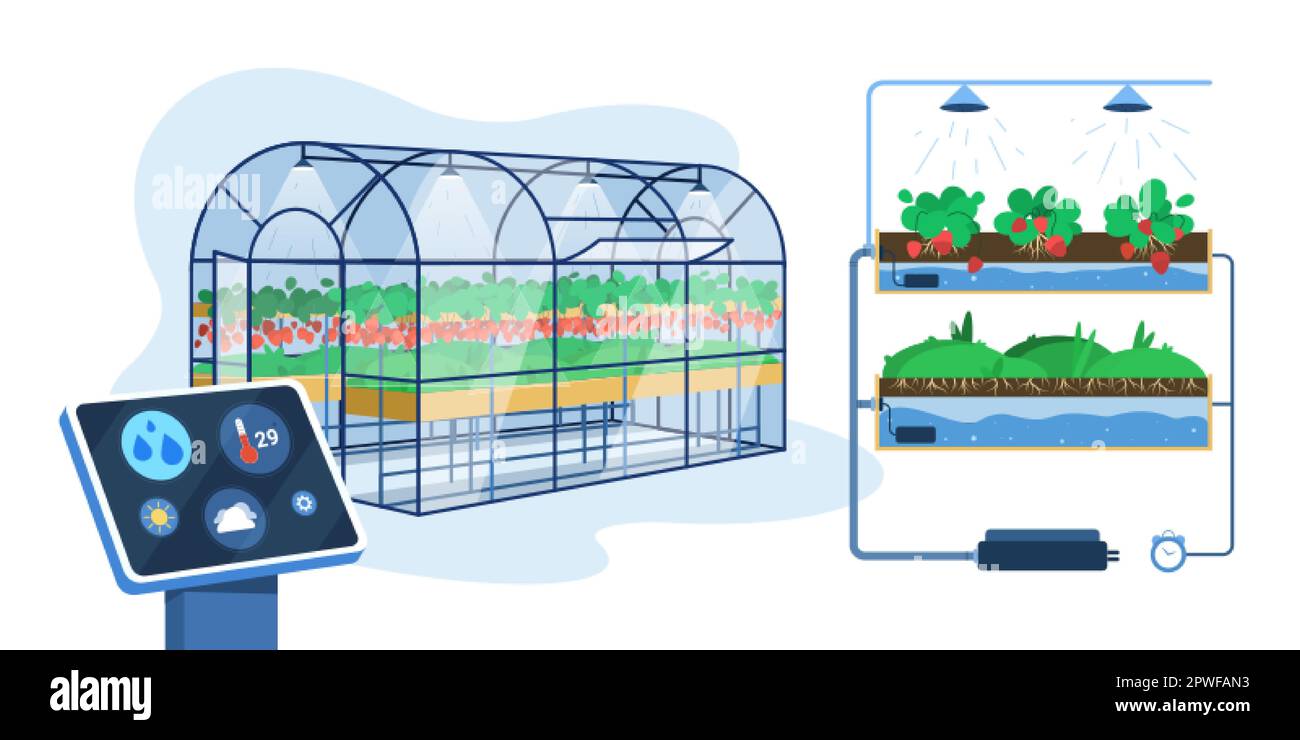 Flat greenhouse with smart innovation technology for growing or
