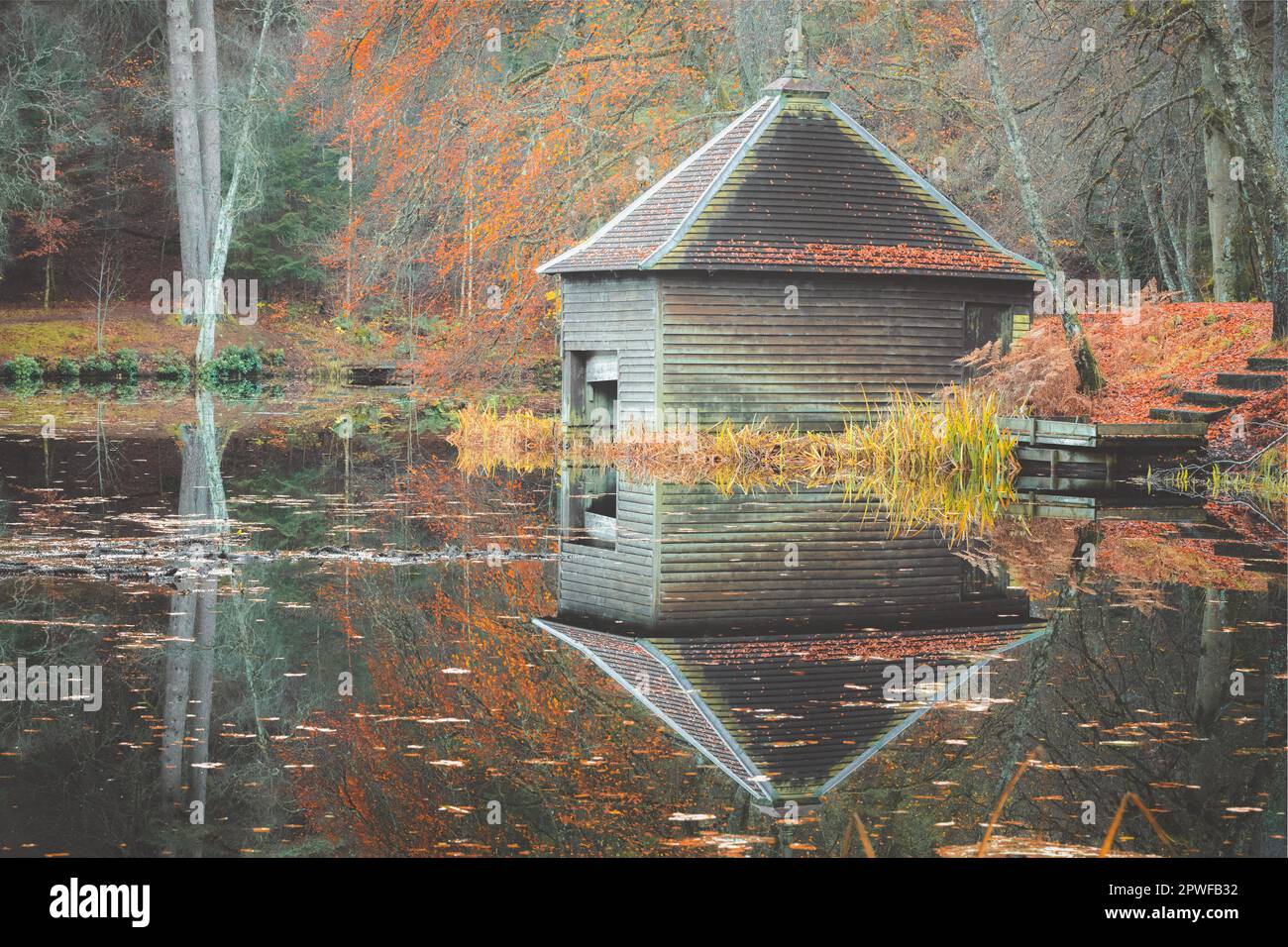 A colourful autuman woodland scene of an old abandoned boathouse over a calm still lake reflection on Loch Dunmore at Faskally Forest in Perth and Kin Stock Photo