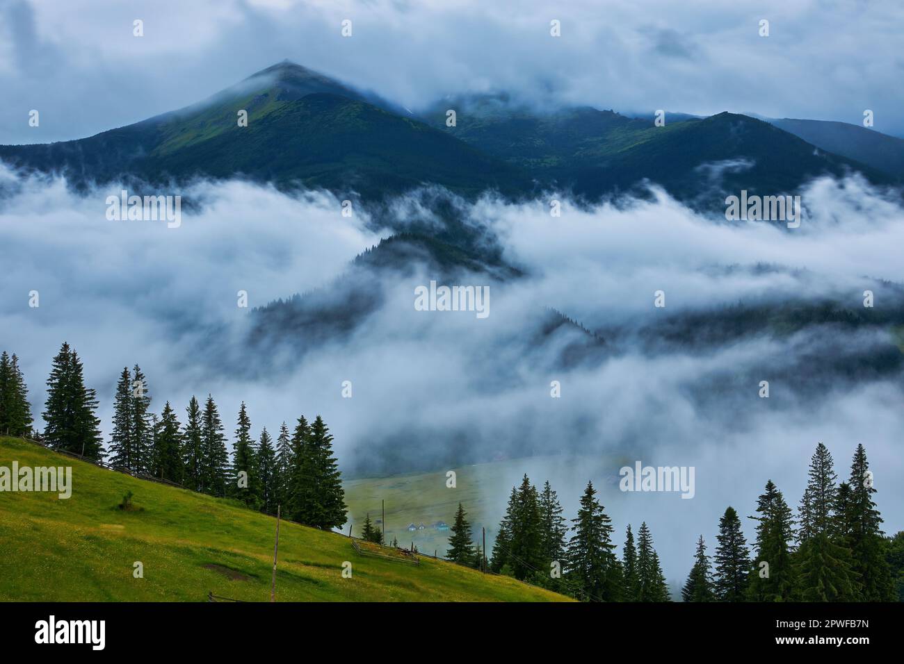 Landscape with fog in mountains and rows of trees Stock Photo - Alamy