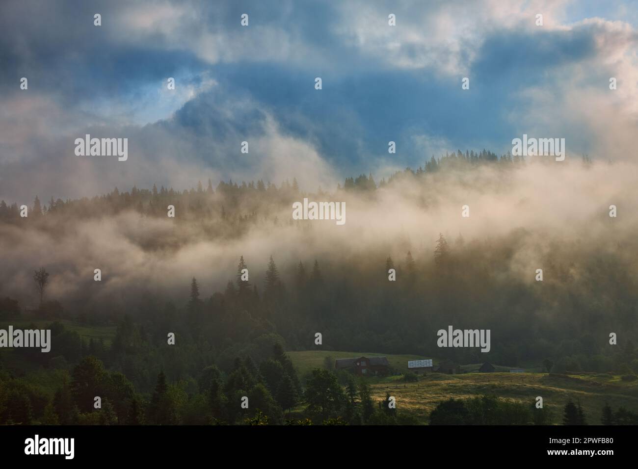Landscape with fog in mountains and rows of trees Stock Photo - Alamy