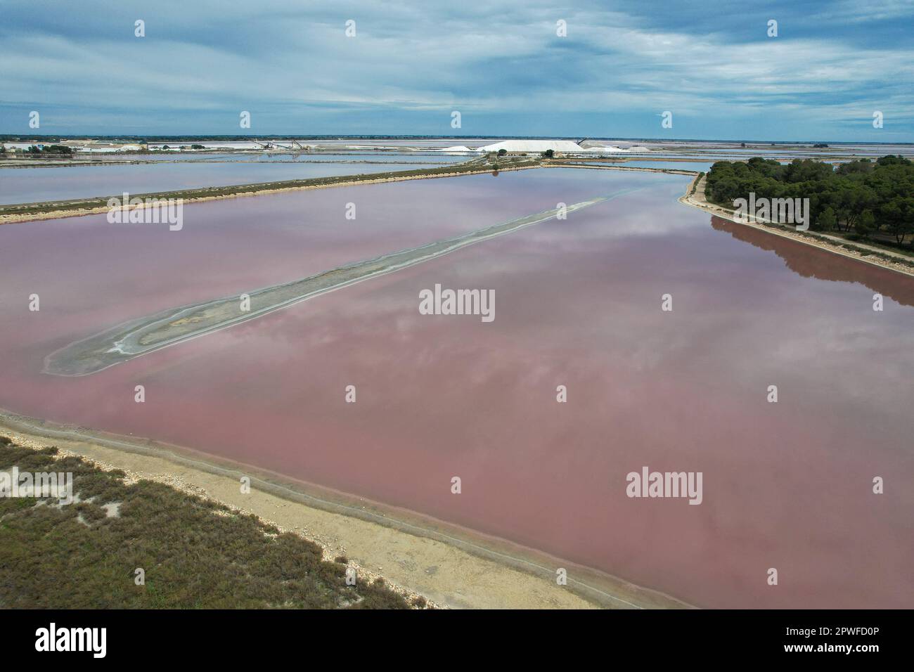 The pink salt of Aigues Mortes: a supernatural landscape in the