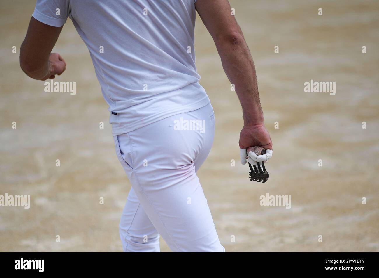 Camargue race (Course camarguaise) in Saintes-Maries-de-la-Mer ...