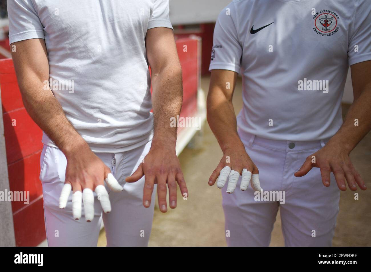 Camargue race (Course camarguaise) in Saintes-Maries-de-la-Mer ...