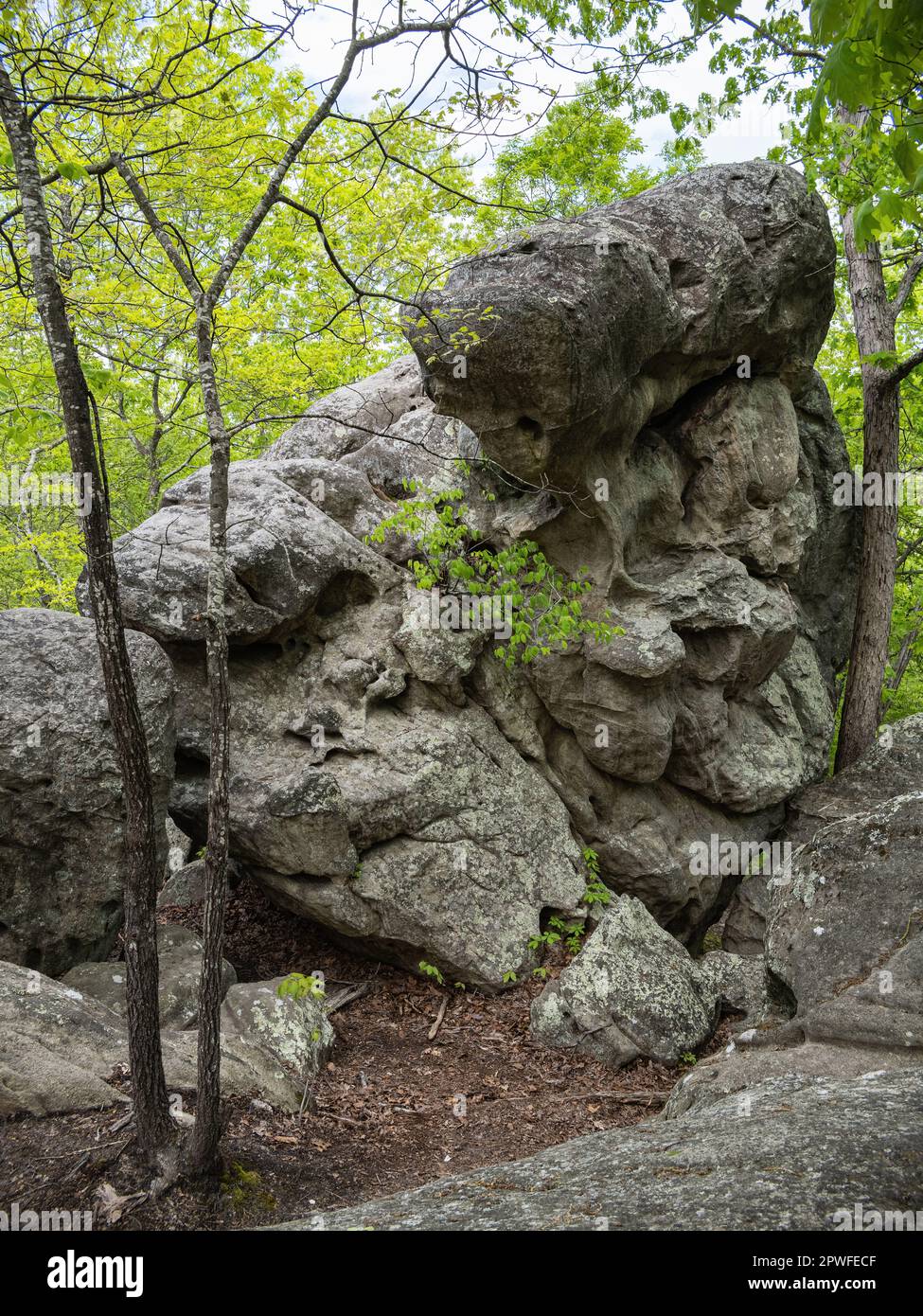 Pickle Springs Natural Area Stock Photo Alamy