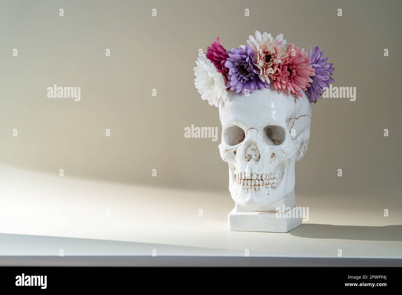 Plaster skull sculpture Stock Photo