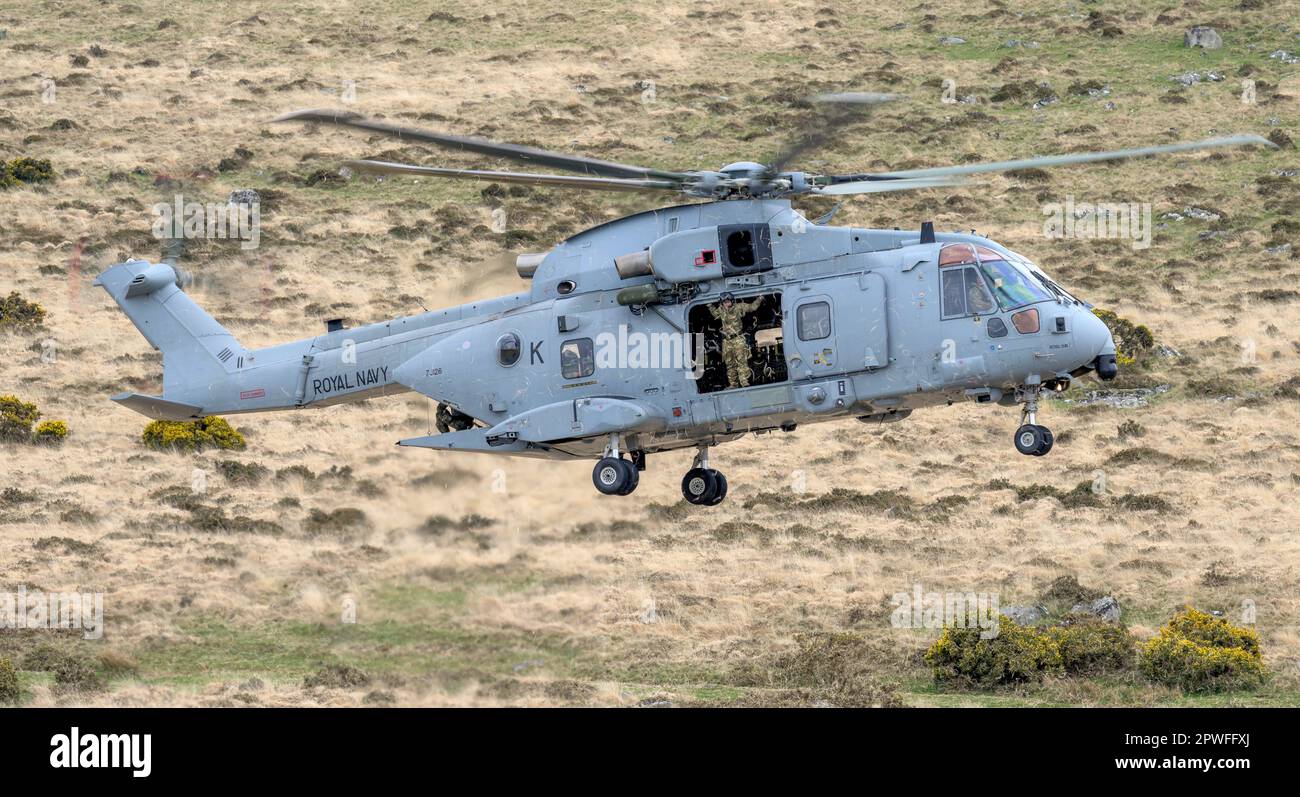 Two Royal Navy Merlin aircraft from 845 Squadron Command Helicopter Force (CHF)  based at RNAS Yeovilton,  deploy to Oakhampton Camp for the duration Stock Photo