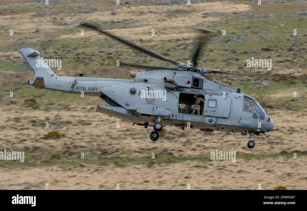 Two Royal Navy Merlin aircraft from 845 Squadron Command Helicopter Force (CHF)  based at RNAS Yeovilton,  deploy to Oakhampton Camp for the duration Stock Photo