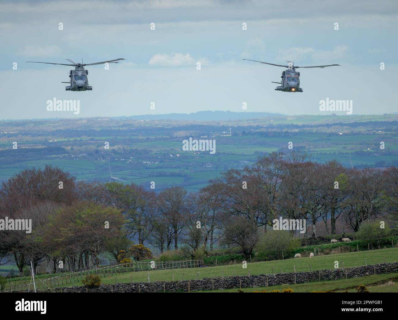 Two Royal Navy Merlin aircraft from 845 Squadron Command Helicopter Force (CHF)  based at RNAS Yeovilton,  deploy to Oakhampton Camp for the duration Stock Photo