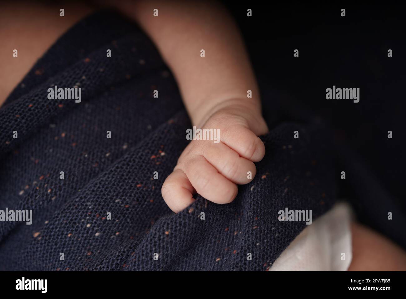 Tiny baby hands holding navy blue blanket. close-up view of the baby's cute hand the baby is laying comfortably in a blue blanket. Stock Photo