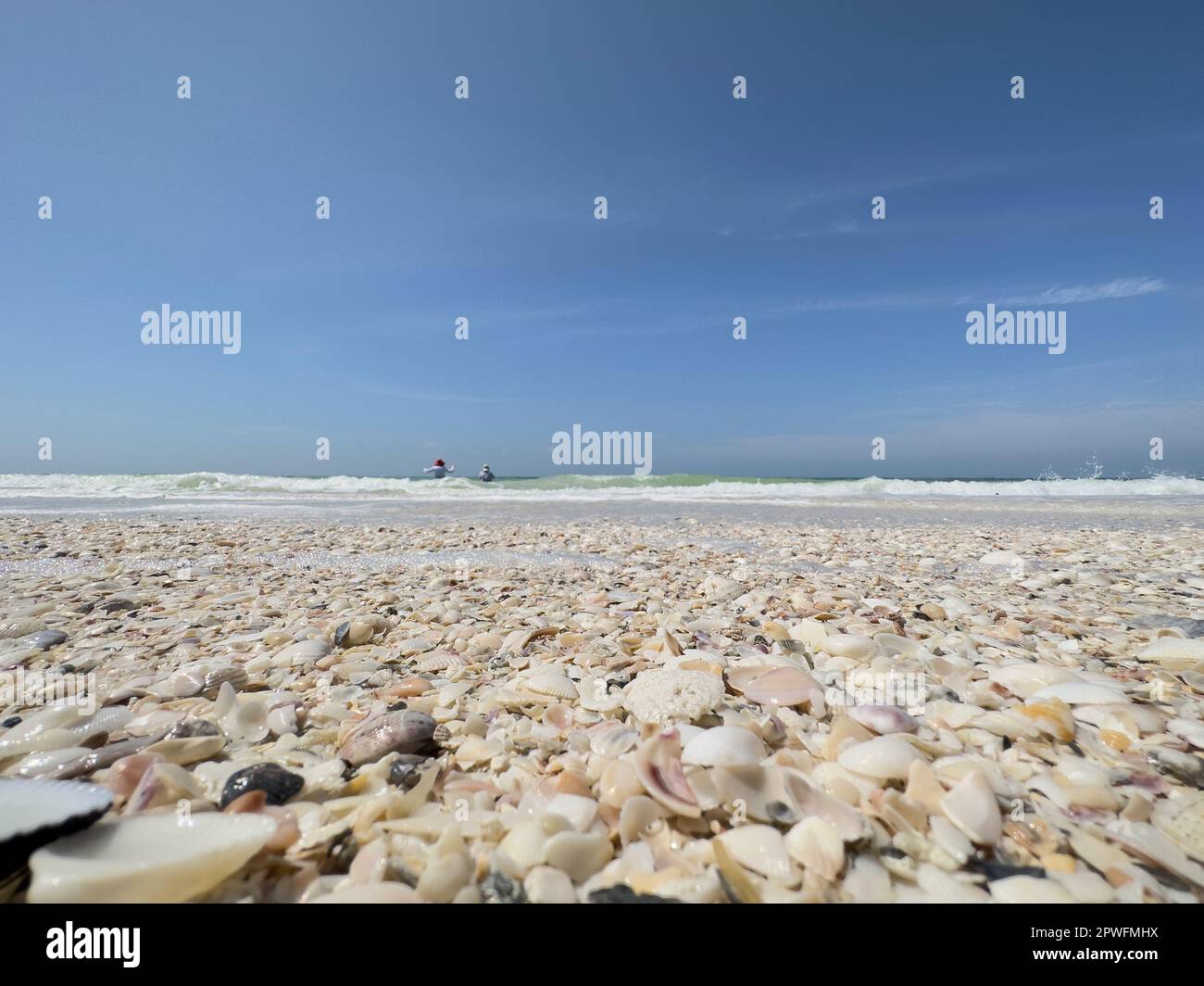 Naples, Florida, USA. 3/18/23. Keewaydin Island barrier island beach