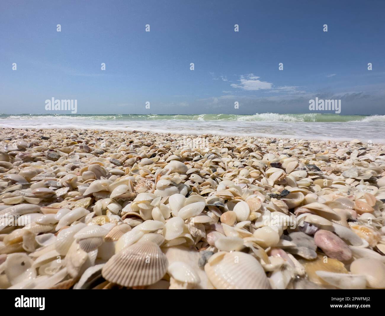 Naples, Florida, USA. 3/18/23. Keewaydin Island barrier island beach