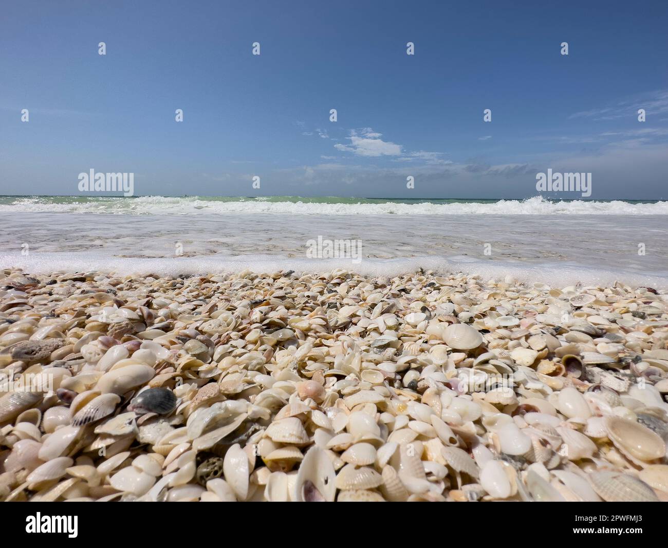 Naples, Florida, USA. 3/18/23. Keewaydin Island barrier island beach