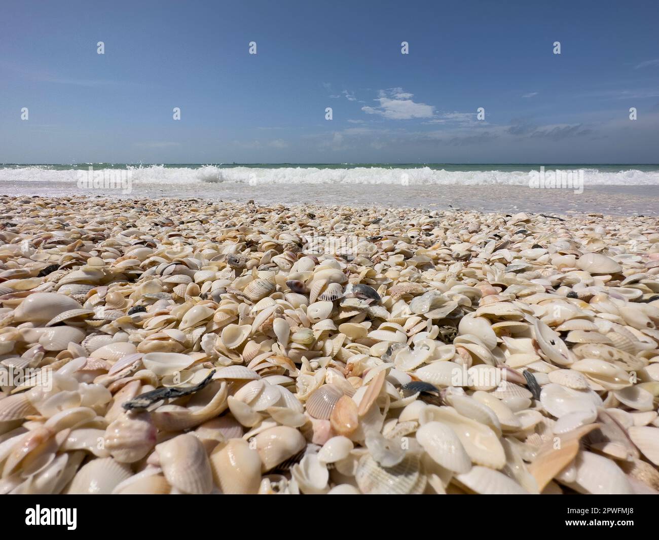Naples, Florida, USA. 3/18/23. Keewaydin Island barrier island beach
