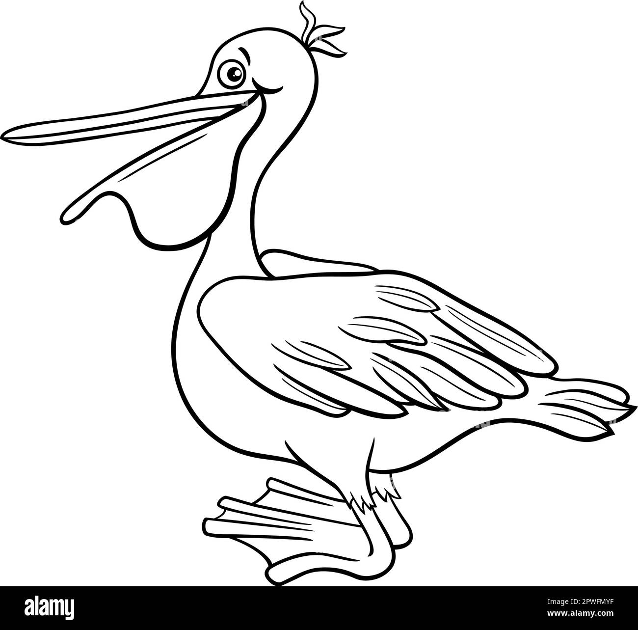 Black and white cartoon illustration of funny pelican bird animal character coloring page Stock Vector
