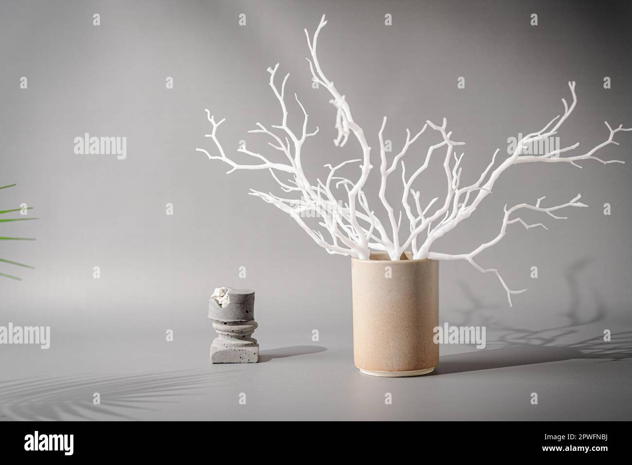 White branches in ceramic vase Stock Photo