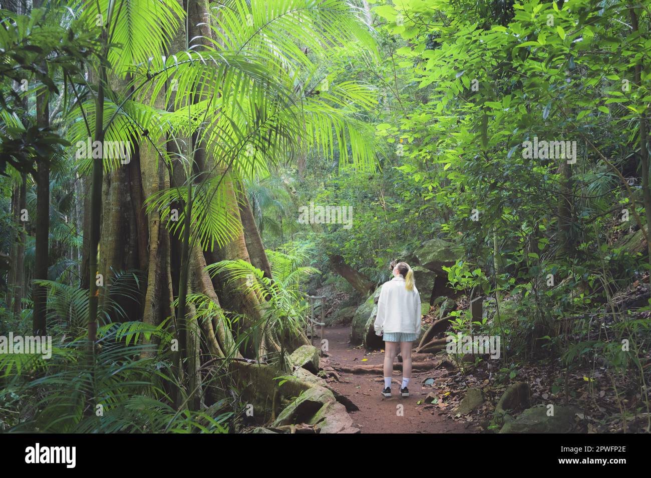 A young blonde female tourist explores the tropical rainforest walking