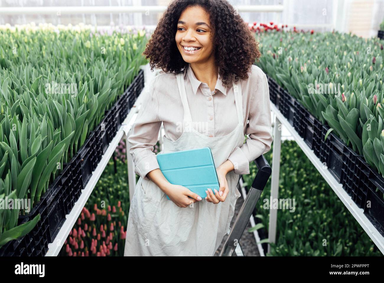 Young cute african girl is using digital tablet to work with tulips in greenhouse. Darkskinned female farmer stands on stepladder among grown flowers. Stock Photo